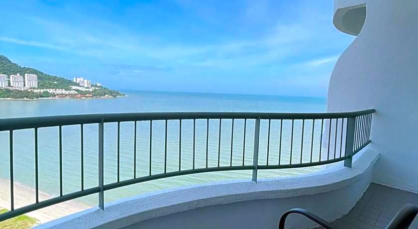 Flamingo By The Beach