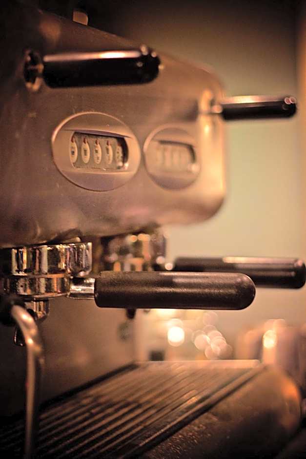 Dog House by Chef & Brewer Collection