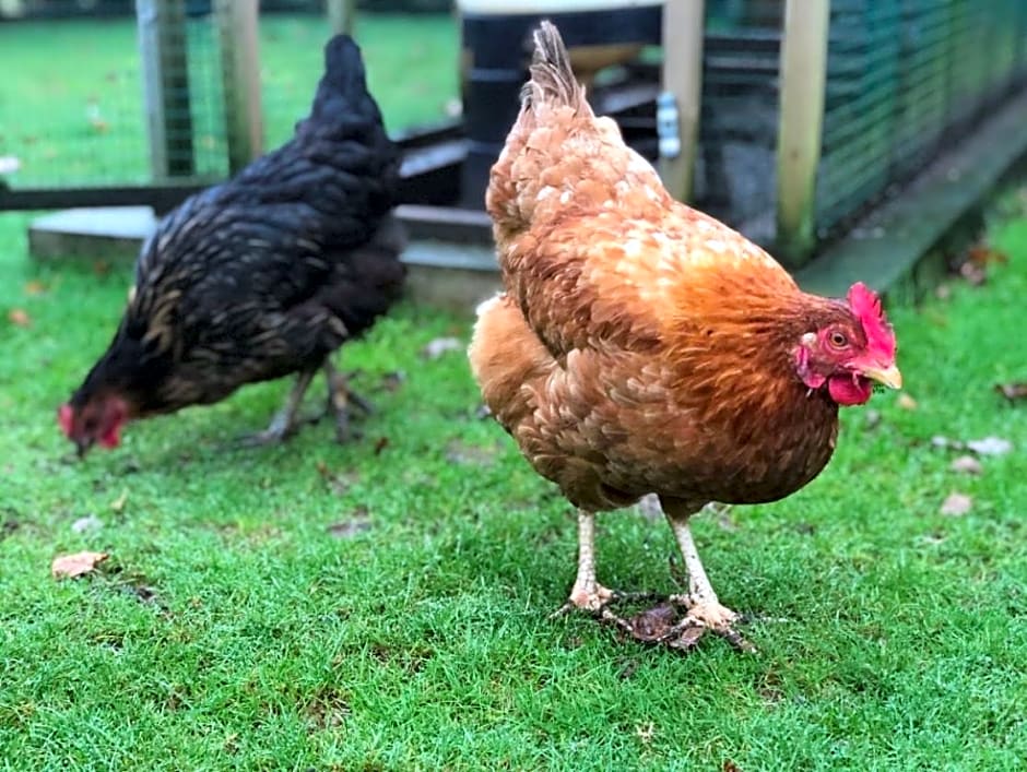 The Old Rectory Somerset