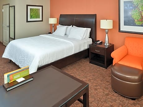 1 King Accessible Room with Bathtub