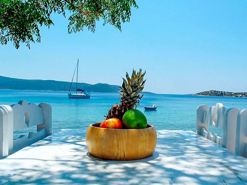 Klima Paradise