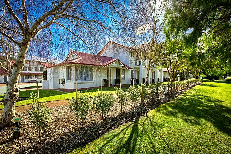 Pelicans Albany Middleton Beach