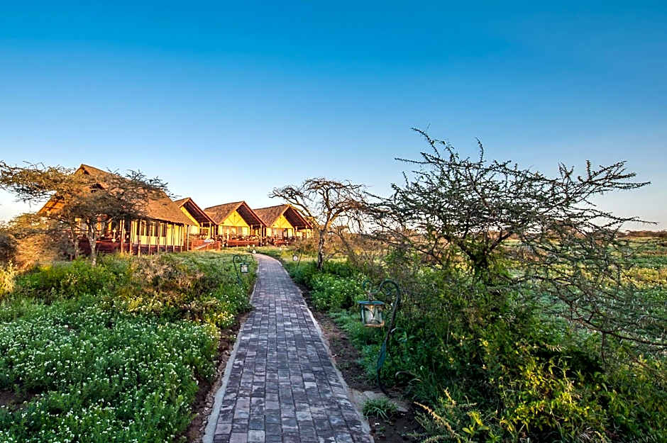 Lake Ndutu Luxury Tented Lodge