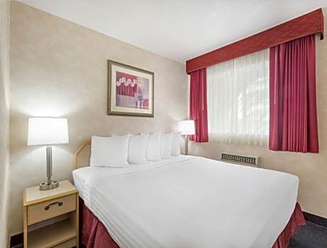 1 King Bed Non-Smoking