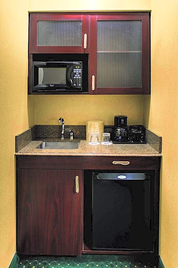 SpringHill Suites by Marriott Memphis Downtown