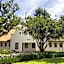 Kievits Kroon Gauteng Wine Estate
