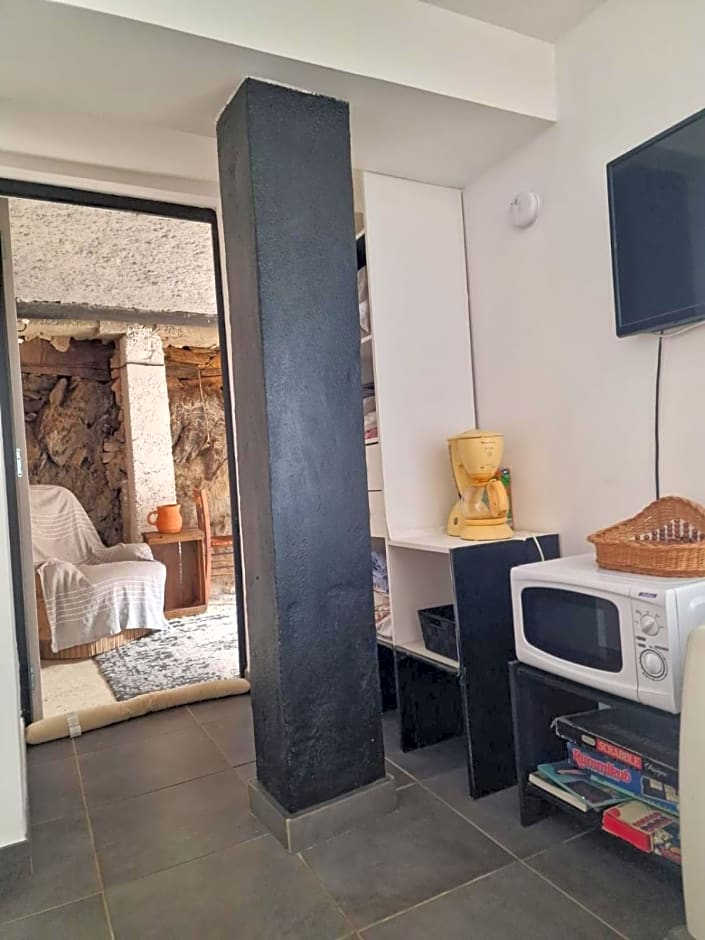 Le camélia de la mazarié