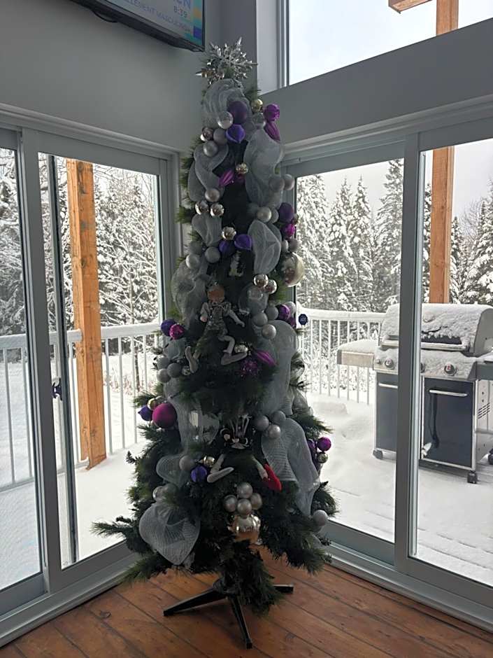 Le Monk ,chalet, motoneige, quad ,nature, randonné pédestre