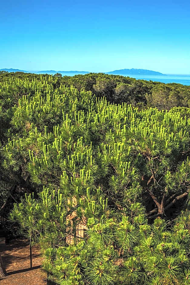 Park Hotel Marinetta