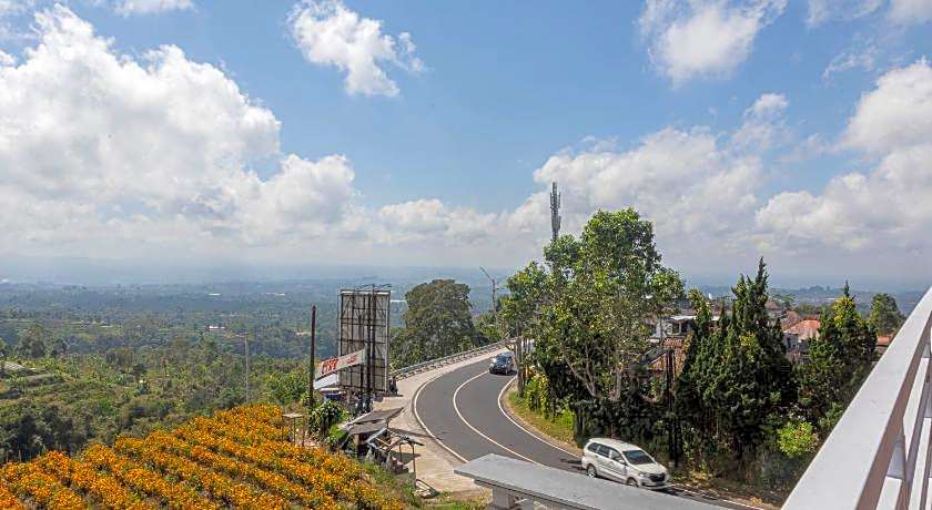 Lavender - Taman Tanda