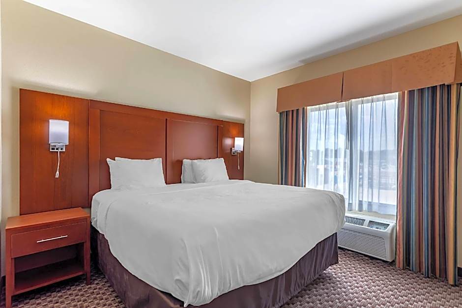 Comfort Inn & Suites Carbondale University Area