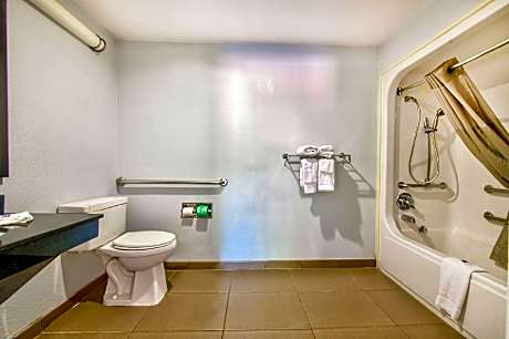 1 KING BED | MOB ACC RI SHWR STE NSMK MICFRIDG