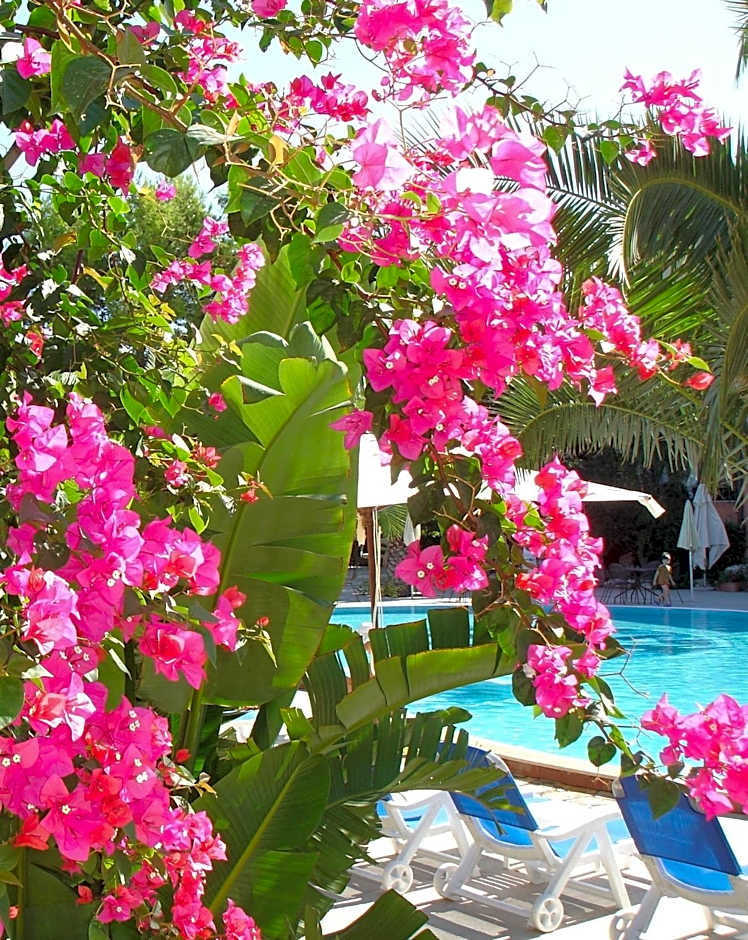 Baia Degli Aranci Suite & Apartments