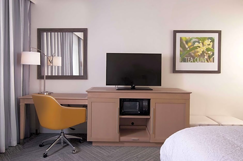 Hampton Inn & Suites by Hilton Augusta-Washington Rd
