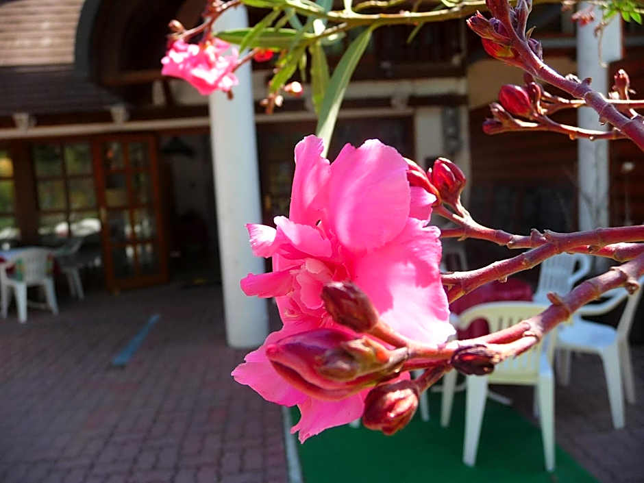Oleander B&B