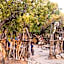 aha Lesedi African Lodge & Cultural Village
