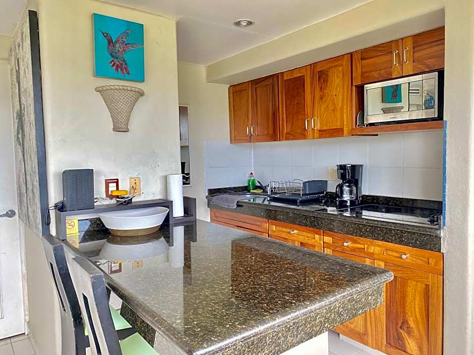 Elegant Beachfront Studio in Monarca Ixtapa