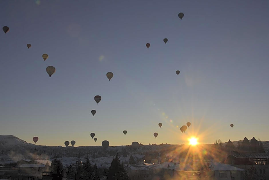 ShoeString Stone House