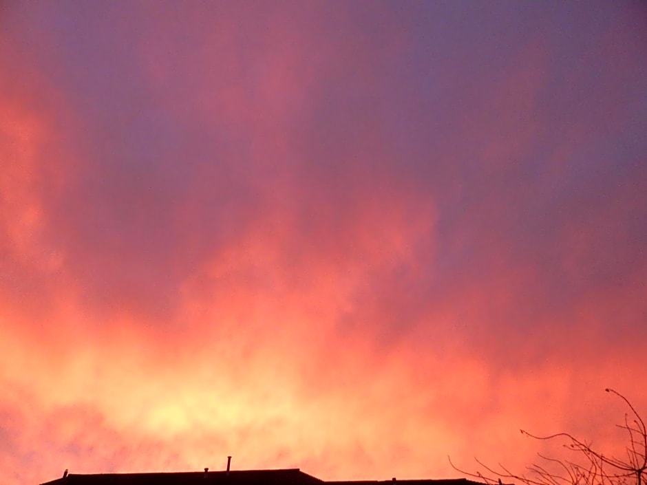 The Garfield Guest House