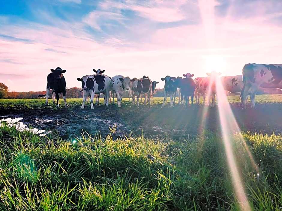 Ferme de la Petite Fagne