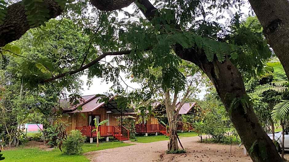 Chiang Dao Reset