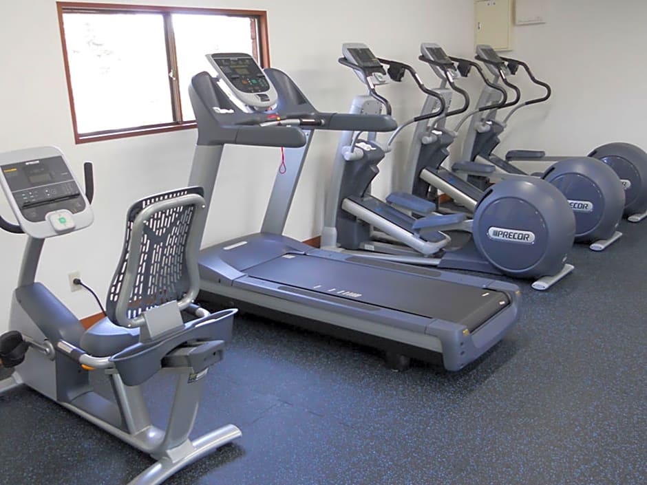 The Prince Villa Karuizawa