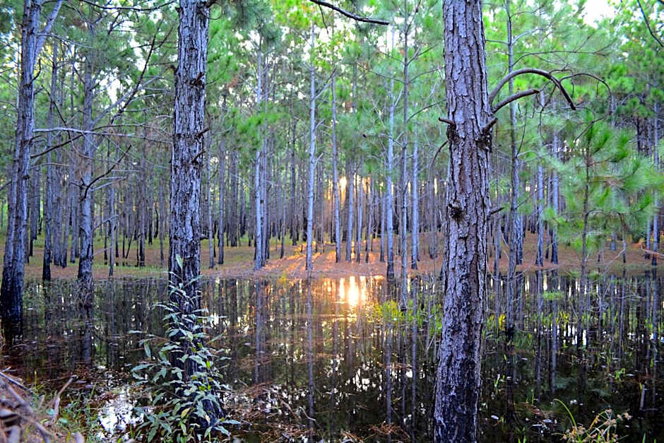 Florianópolis Pousada Moçambeach