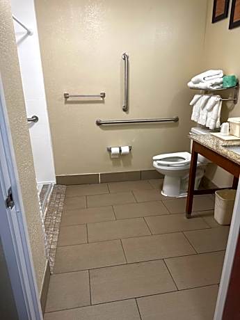 King Room - Accessible/Non-Smoking