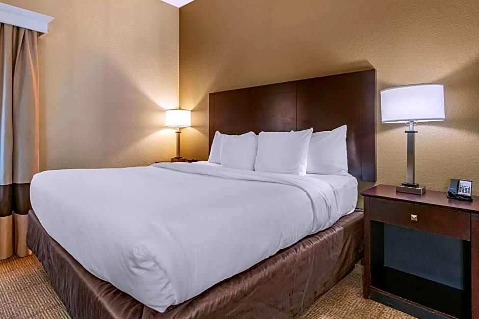 Comfort Inn & Suites DeLand - near University