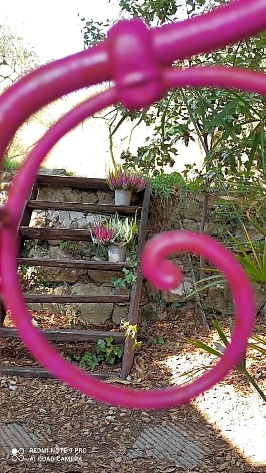 B&B La casina di Iris