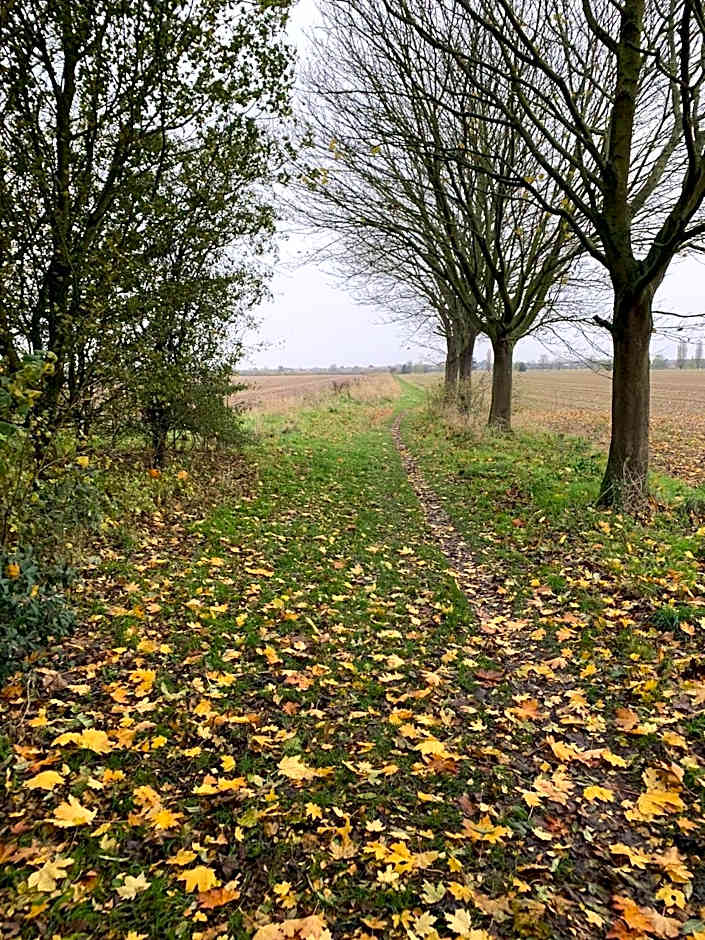Ye Olde White Harte Hotel