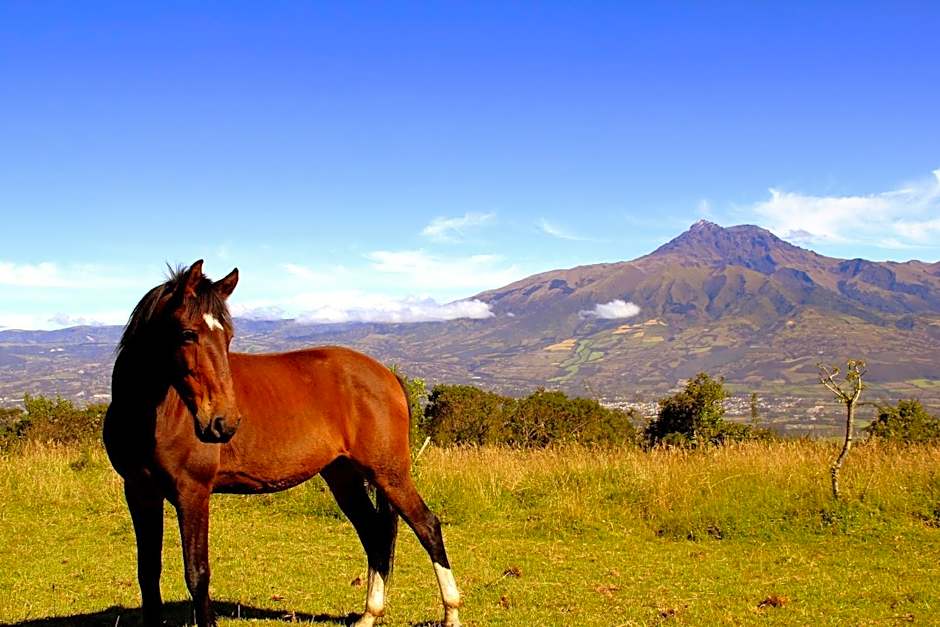 Hostería Hacienda Pinsaqui