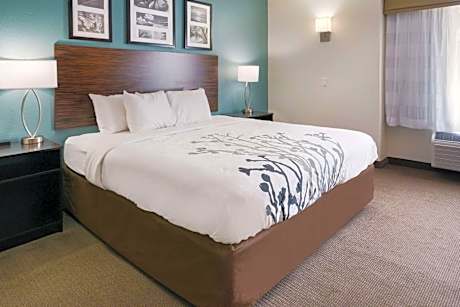 Queen Room with Roll-in-Shower - Accessible/Non-Smoking