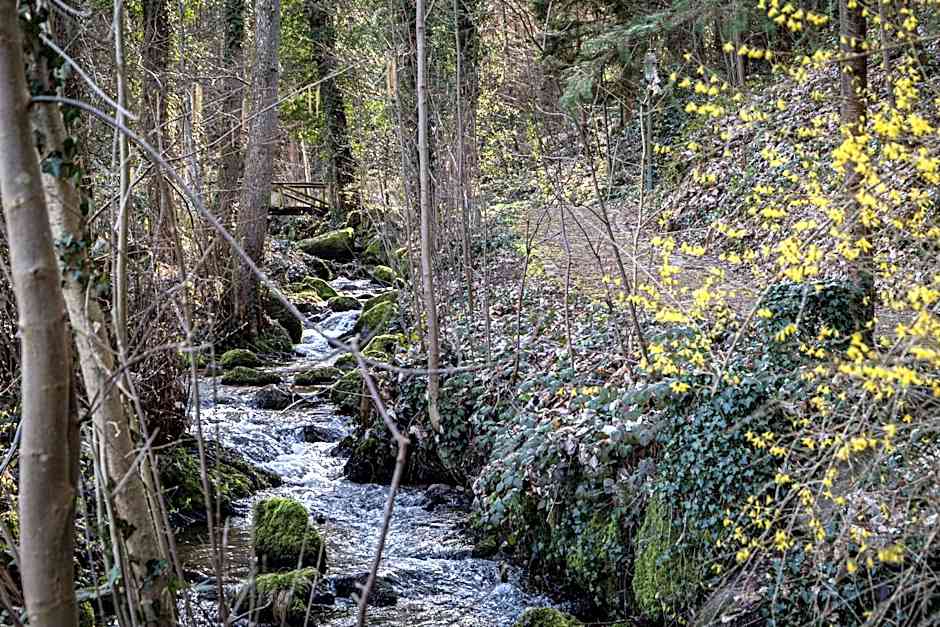 living TIMELESS - Adler Apartments Sasbachwalden