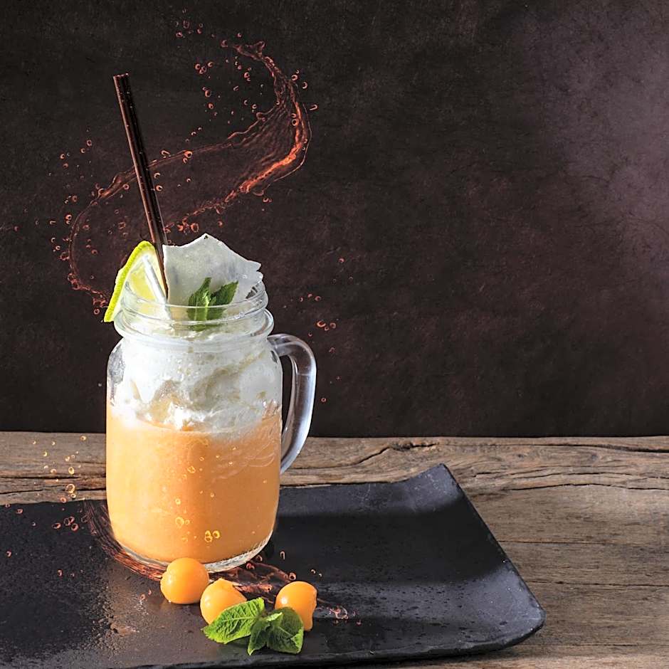 Mercure Lyon Genas Eurexpo