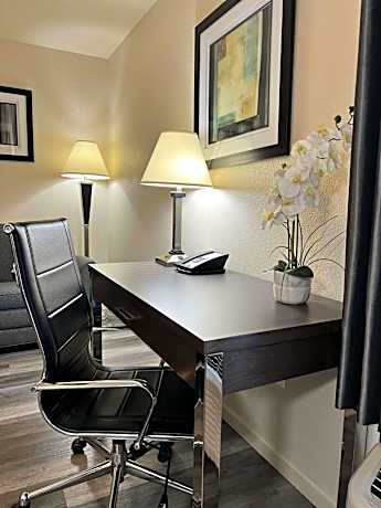 King Suite with Sofa Bed - Non-Smoking