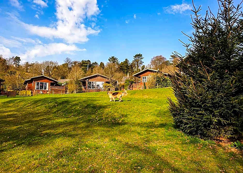 Rudyard Lake Lodges