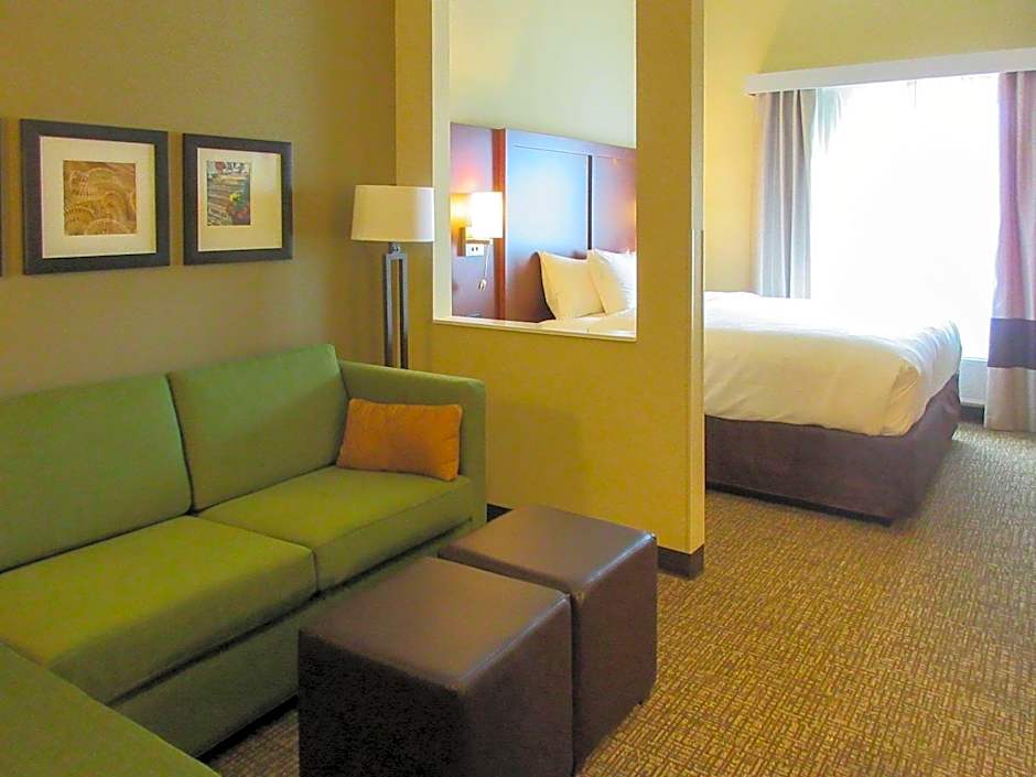 Comfort Suites Summerville