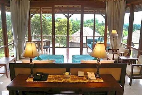 Large Double or Twin Room