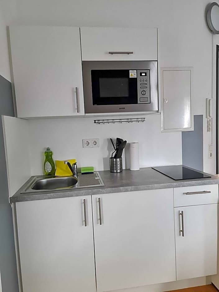 Simplex Apartments Am Ludwigsplatz