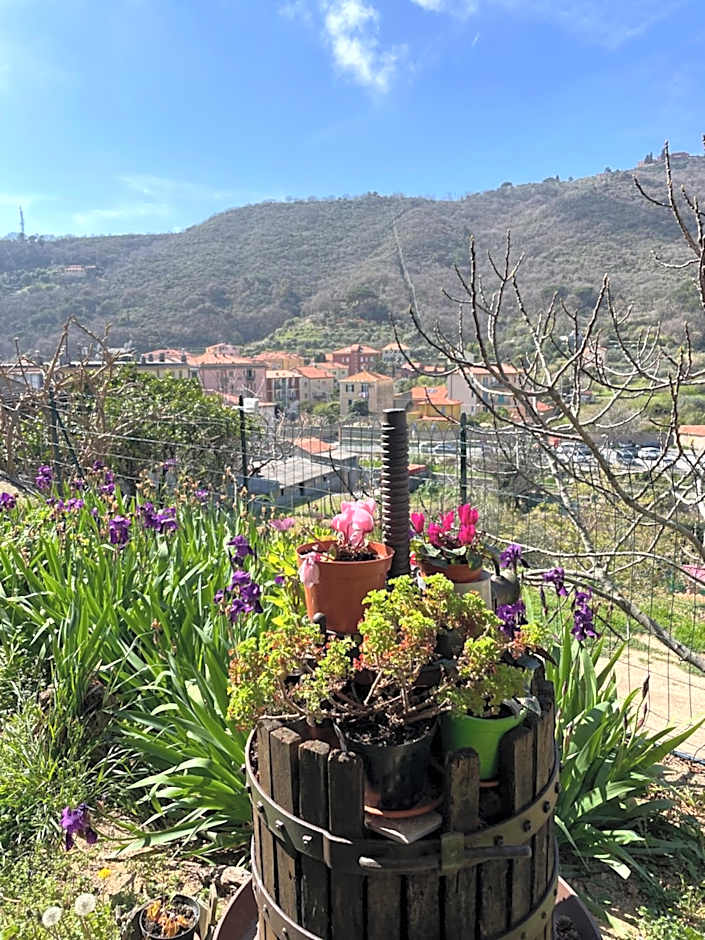 B&B La DORMERIA