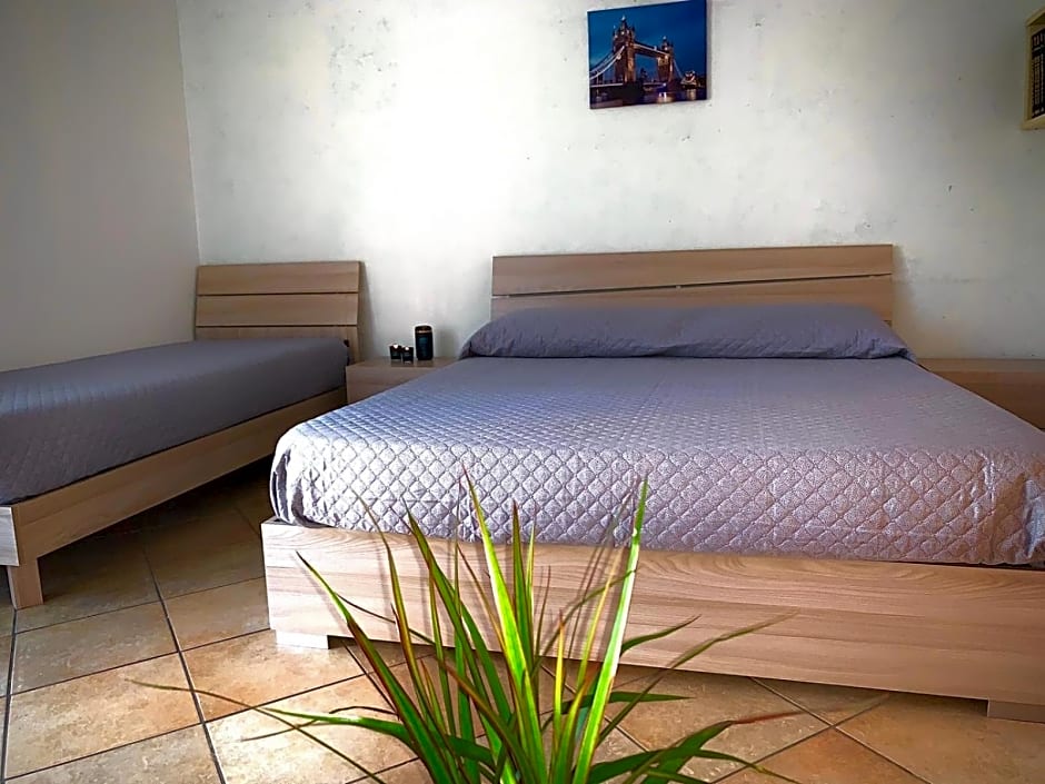 Photo 1 of 4 of 1 King Bed, Mountain View