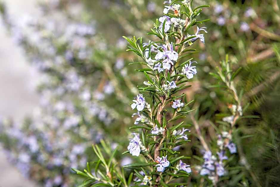 Alghero in bicicletta