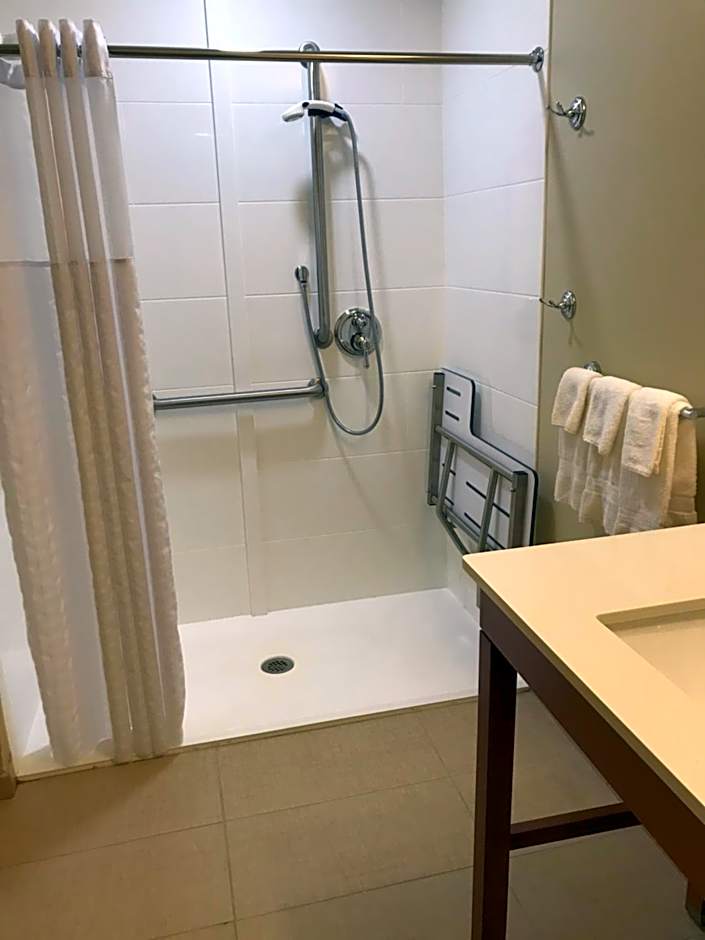 Comfort Suites Summerville North