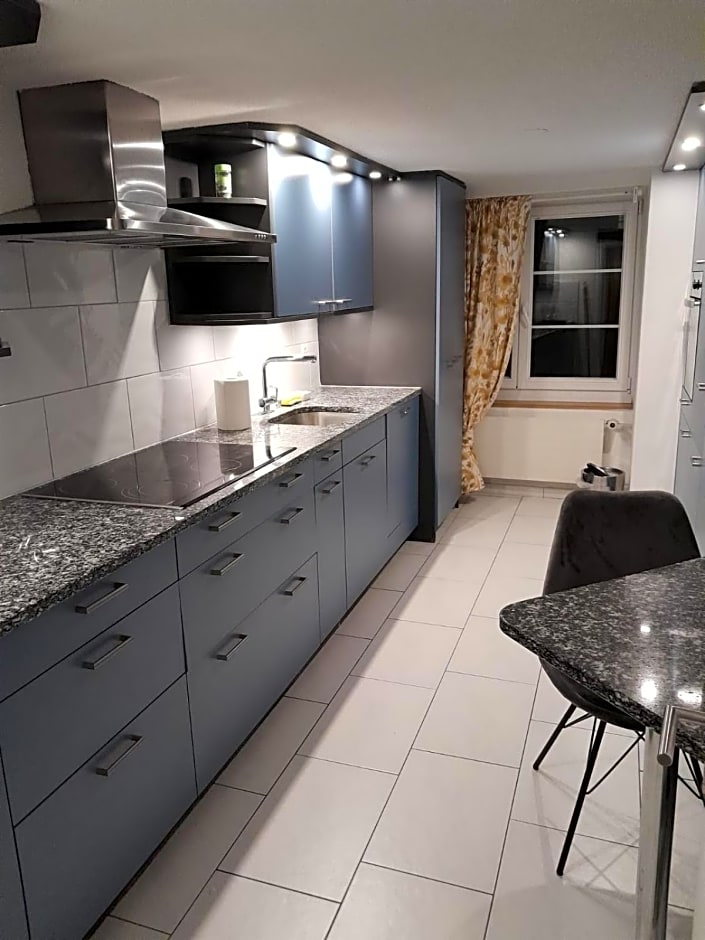 Rosa Apartment Zürich City