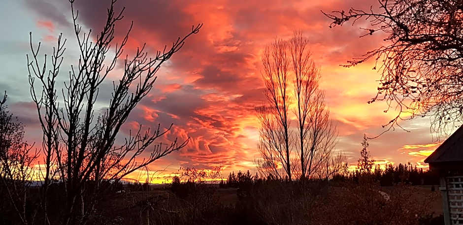 Hawkdun Rise Vineyard & Accommodation