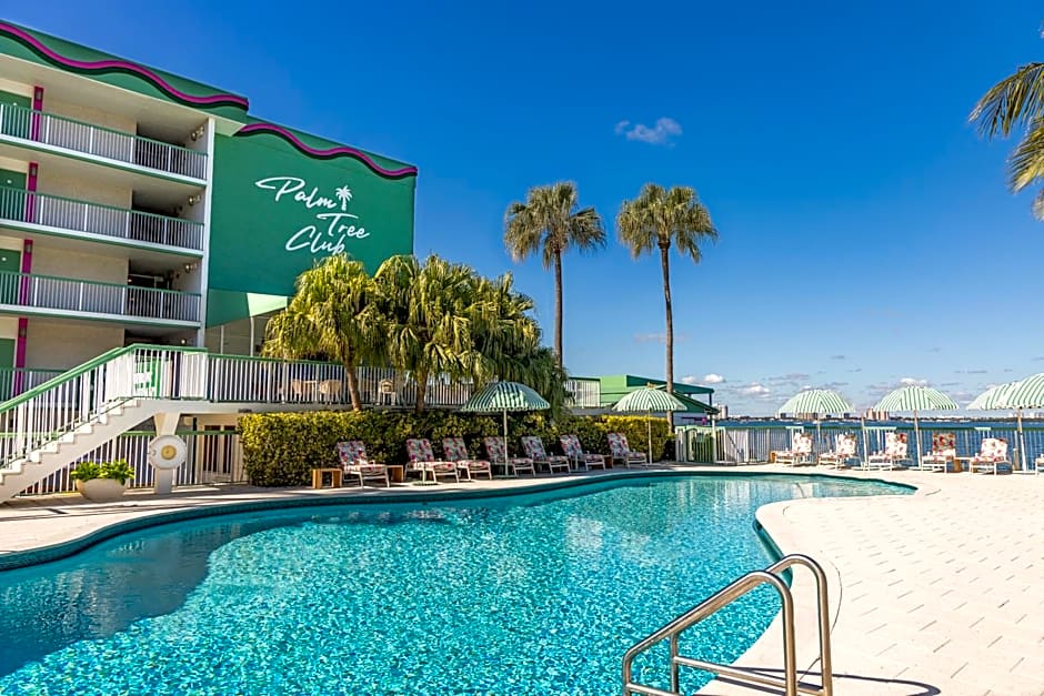 Palm Tree Club Miami
