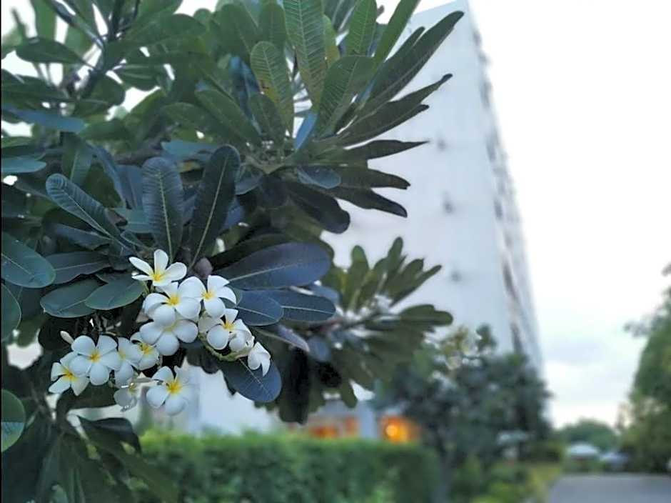 The Park Hotel Pattaya