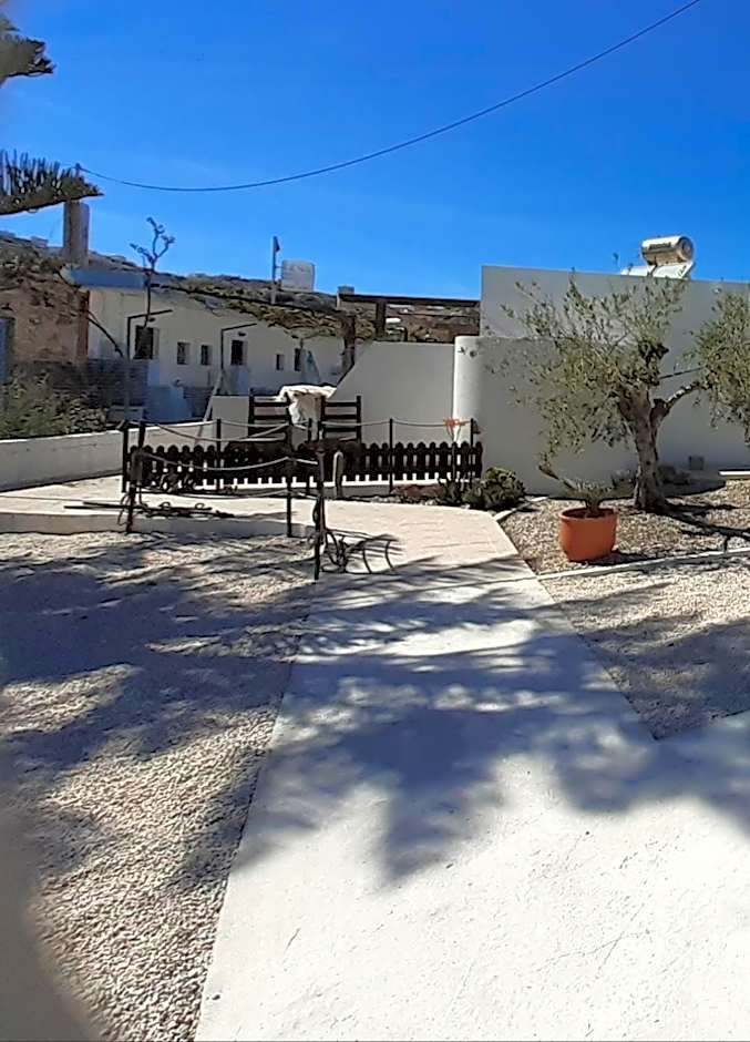 Delphini Studios - for the disabled