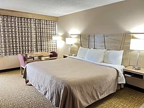 Executive King Suite